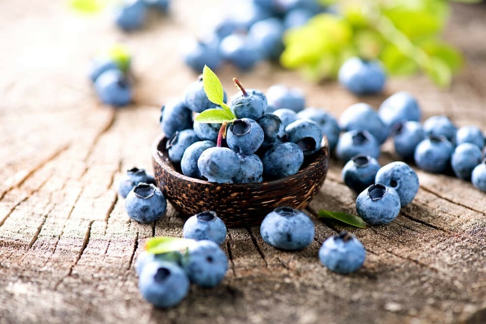 Trong việt quất có chứa các vitamin thiết yếu giúp phòng ngừa ung thư vú.