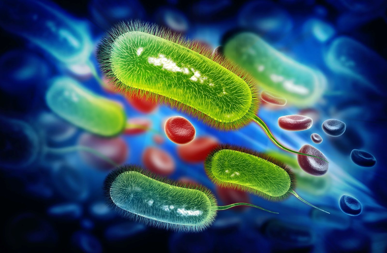 Vi khuẩn H. pylori là một trong những nguyên nhân có nguy cơ gây viêm loét và ung thư dạ dày. Ảnh: Shutterstock.