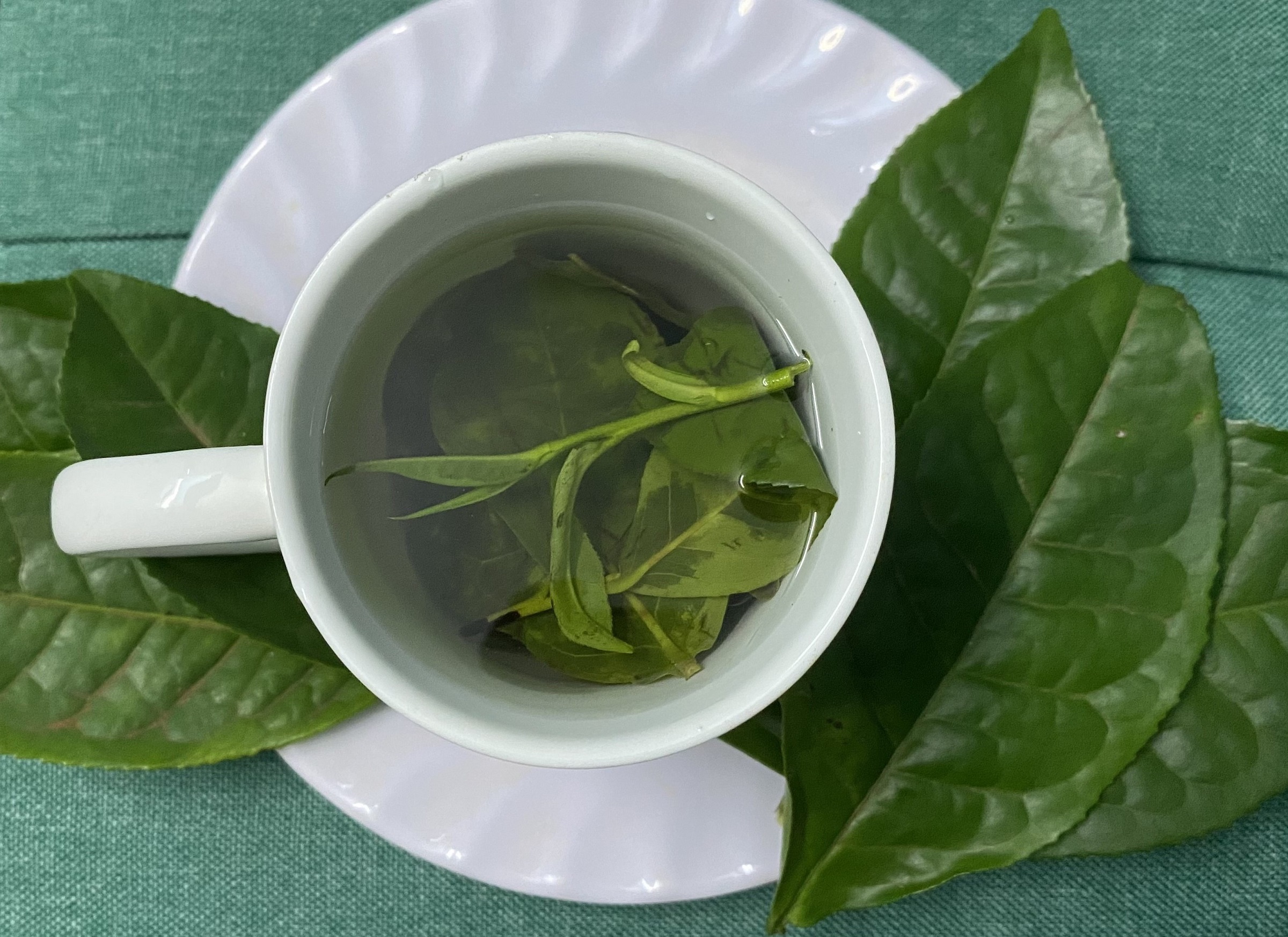 Trà xanh giàu chất chống oxy hóa có tác dụng giảm viêm. Ảnh: Mai Cat